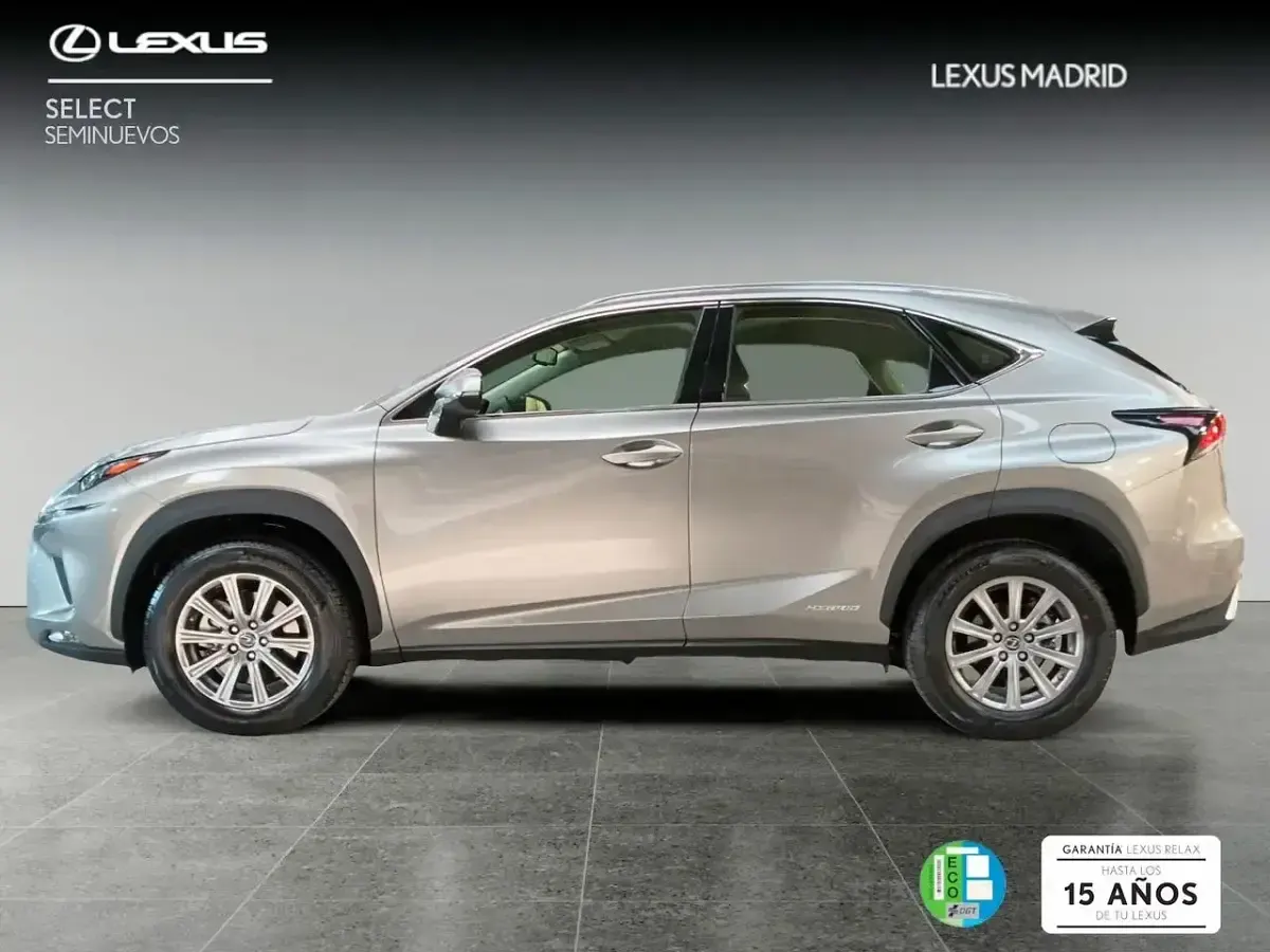 Usado Lexus NX300h Business Edition 197 CV (144 kW) 2020 Gris SUV