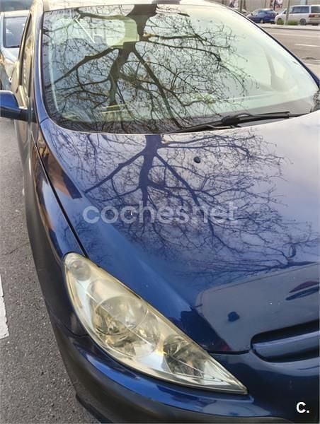 Usado Peugeot 307 90 CV (66 kW) 2002 Azul Berlina
