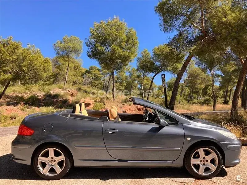 Usado Peugeot 307 CC 110 CV (80 kW) 2005 Gris / plata Descapotable