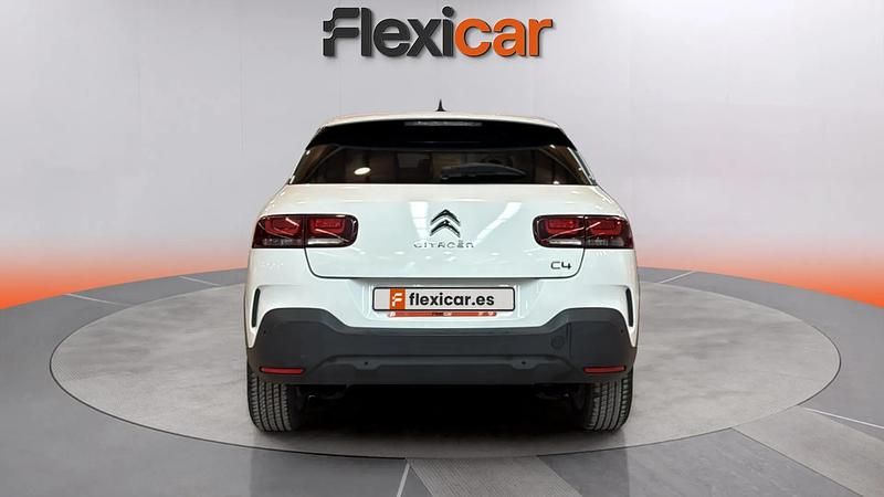 Usado Citroën C4 Cactus Feel 99 CV (72 kW) 2019 Blanco Utilitario