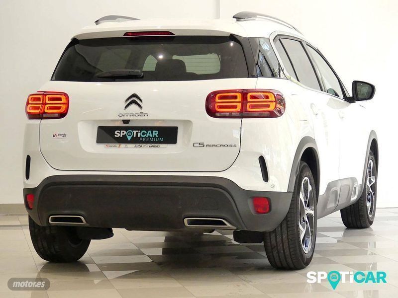 Usado Citroën C5 Aircross Feel 176 CV (129 kW) 2019 Blanco banquise SUV