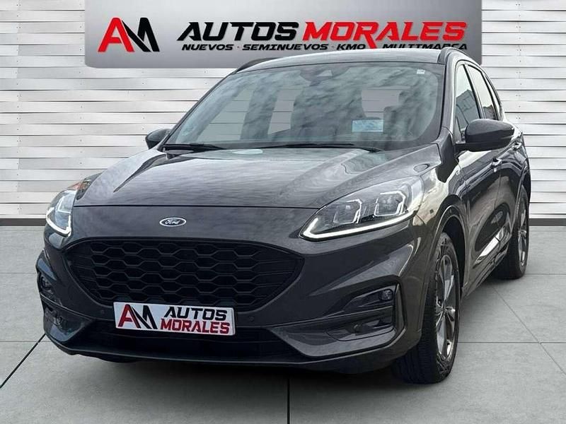 Usado Ford Kuga ST-Line 150 CV (110 kW) 2022 Gris SUV