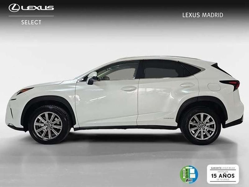 Usado Lexus NX300h Business Edition 197 CV (144 kW) 2019 Blanco SUV