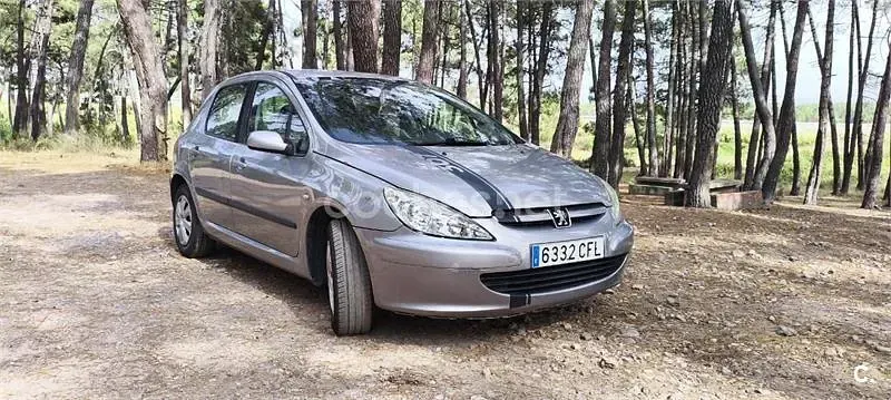 Usado Peugeot 307 110 CV (80 kW) 2003 Gris / plata Berlina