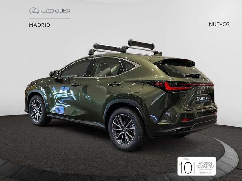Nuevo Lexus NX350h Business Edition 242 CV (177 kW) 2025 Verde SUV