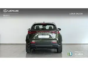 Usado Lexus NX350h Business Edition 244 CV (179 kW) 2022 Verde