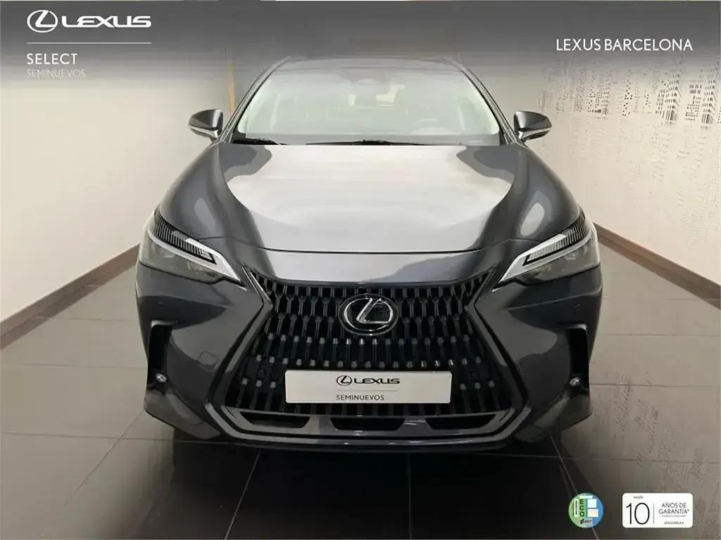 Usado Lexus NX350h Business Edition 244 CV (179 kW) 2022 Gris SUV