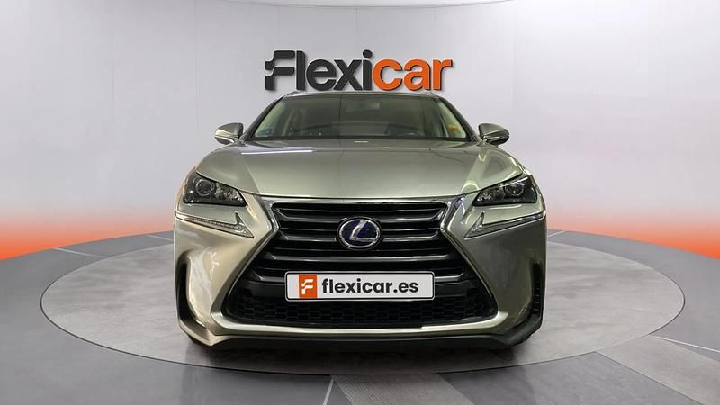 Usado Lexus NX300h 197 CV (144 kW) 2016 Gris SUV