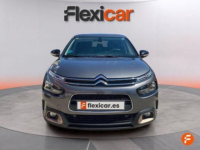Usado Citroën C4 Cactus Shine 102 CV (75 kW) 2020 Gris Utilitario