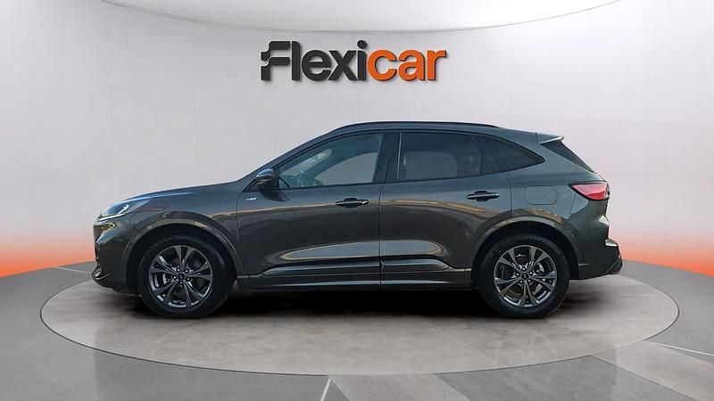 Usado Ford Kuga ST-Line 120 CV (88 kW) 2024 Gris SUV
