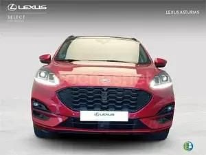 Usado Ford Kuga ST-Line X 225 CV (165 kW) 2021 Blanco SUV