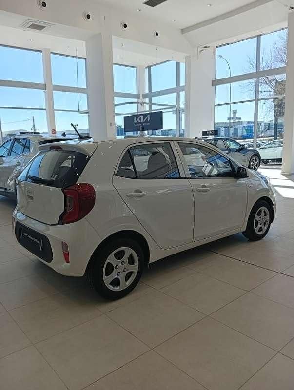 Usado Kia Picanto 67 CV (49 kW) 2024 Blanco Utilitario