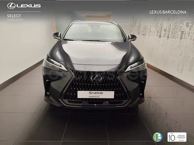 Usado Lexus NX350h Executive Line 244 CV (179 kW) 2025 Gris / plata SUV