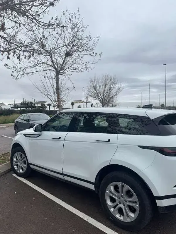 Usado Land Rover Range Rover evoque SE Dynamic 150 CV (110 kW) 2020 Blanco SUV