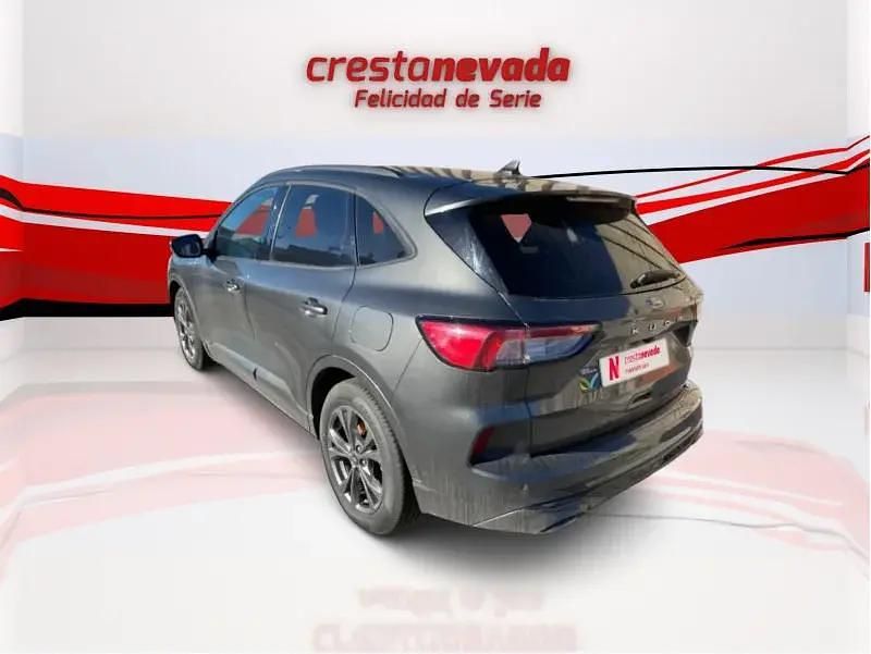 Usado Ford Kuga ST-Line 120 CV (88 kW) 2022 Gris / plata SUV