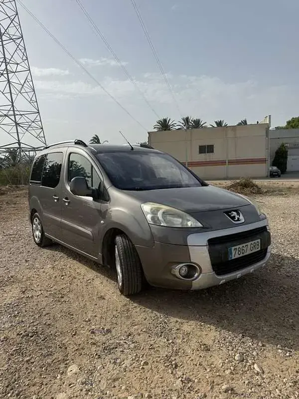 Usado Peugeot TePee Outdoor 92 CV (67 kW) 2009 Marrón Van