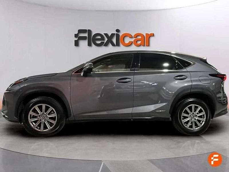 Usado Lexus NX300h Business Edition 197 CV (144 kW) 2019 Gris SUV