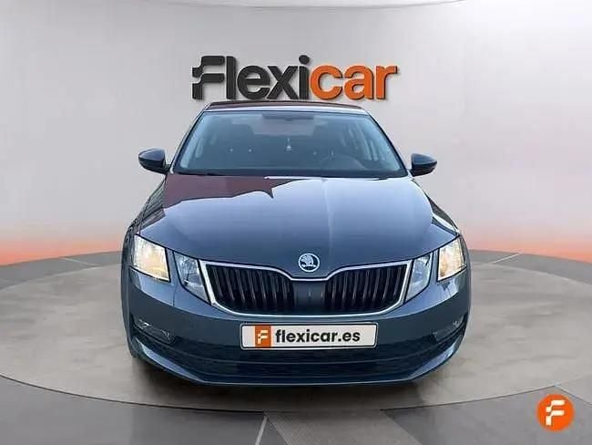 Occasion Skoda Octavia Style 115 ch (84 kW) 2019 Gris