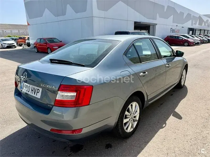 Käytetty Skoda Octavia Active 105 HP (77 kW) 2014 Harmaa Farmari