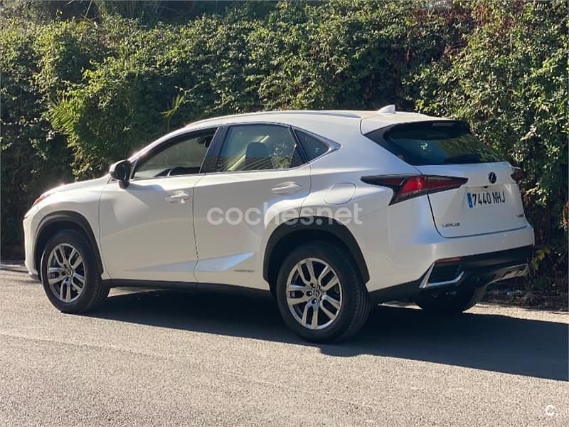 Usado Lexus NX300h Business Edition 197 CV (144 kW) 2019 Blanco SUV
