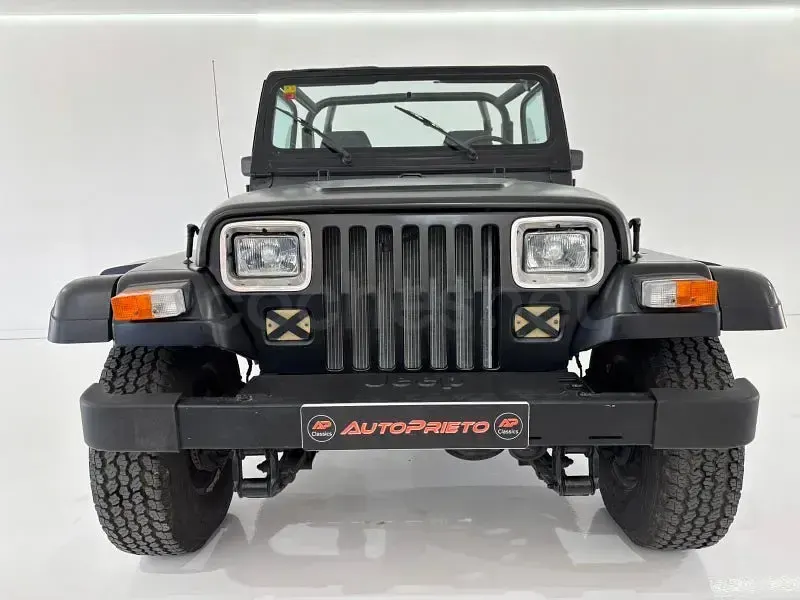 Usado Jeep Wrangler 121 CV (88 kW) 1995 Negro SUV