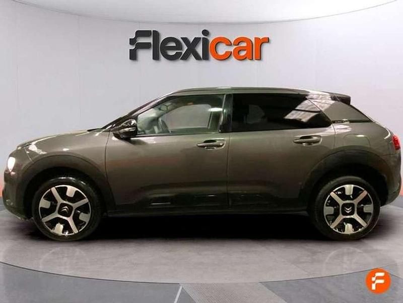 Usado Citroën C4 Cactus PureTech 110 CV (80 kW) 2019 Gris Utilitario