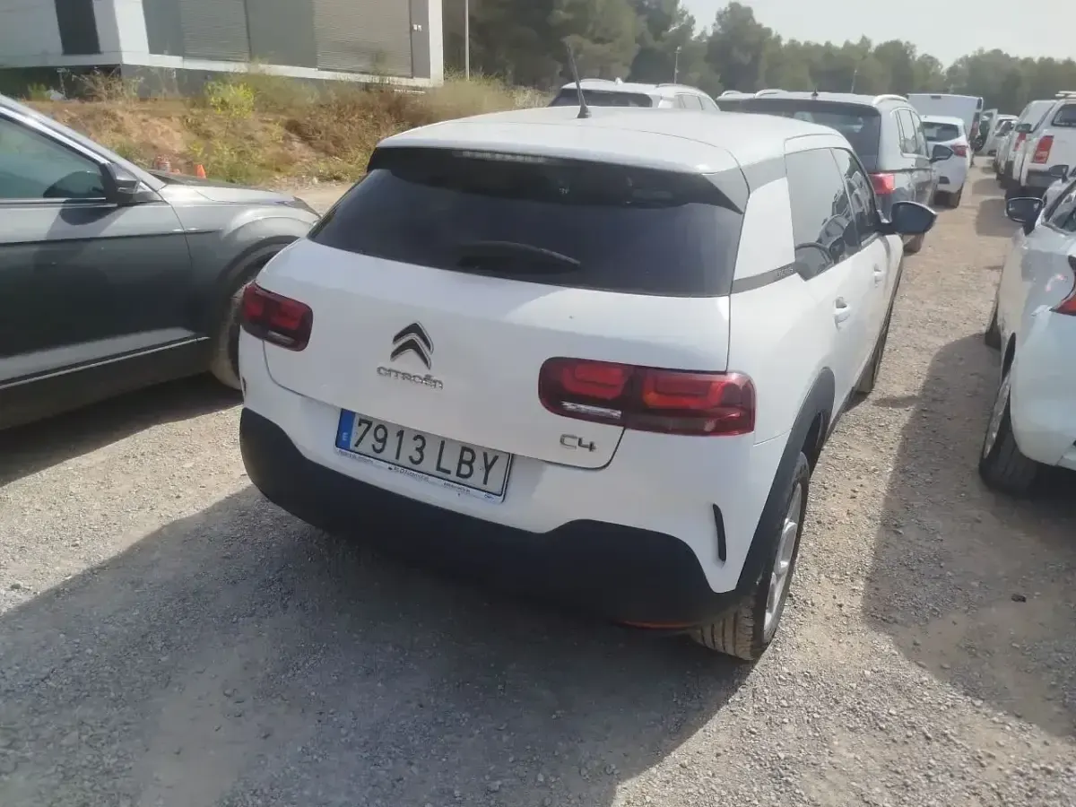 Usado Citroën C4 Cactus Feel 99 CV (72 kW) 2019 Blanco Utilitario