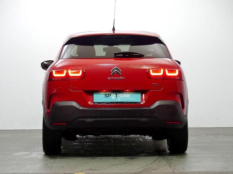 Usado Citroën C4 Cactus Feel 100 CV (73 kW) 2018 Rojo Utilitario