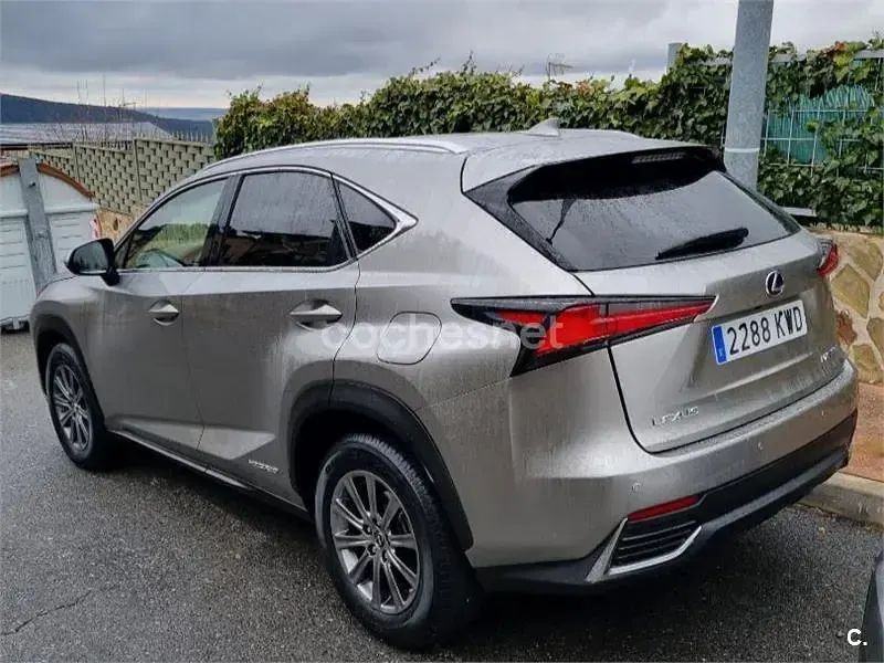 Usado Lexus NX300h Business Edition 197 CV (144 kW) 2019 Gris / plata SUV
