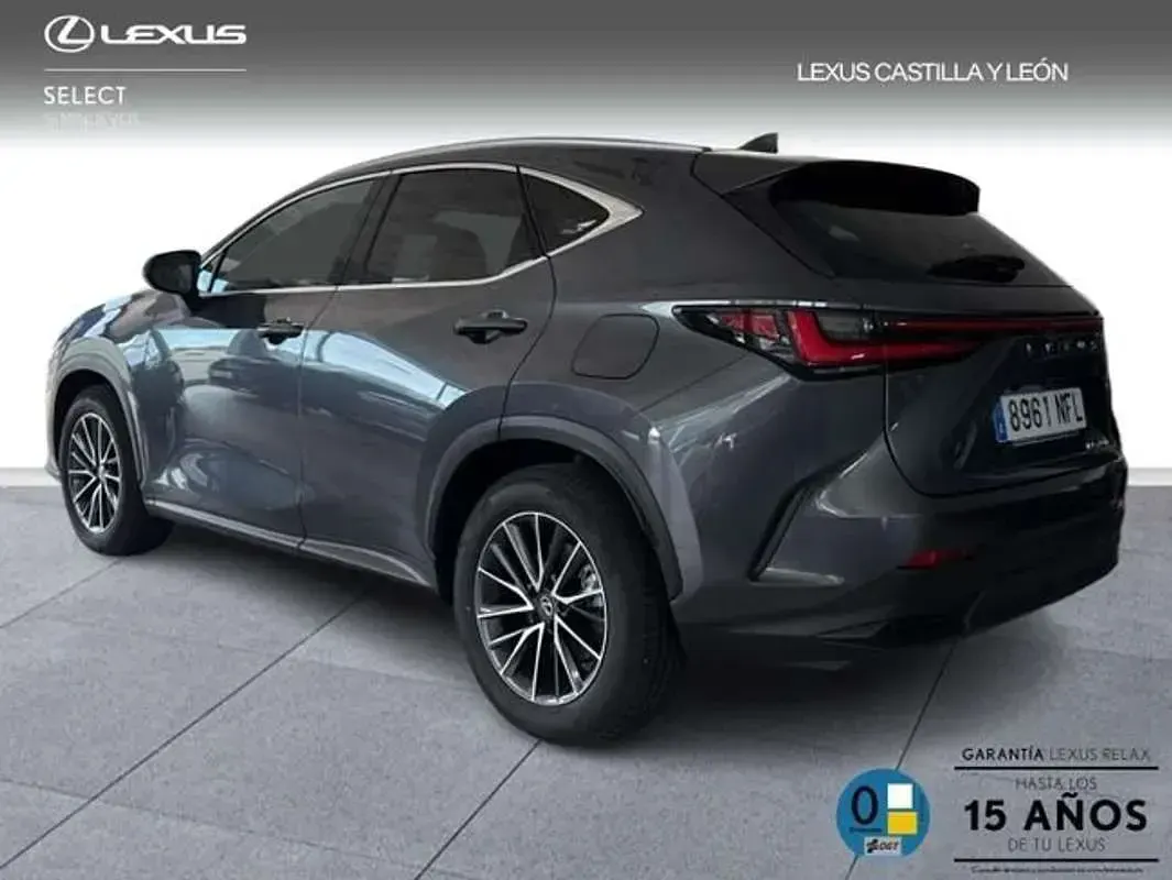 Usado Lexus NX450h+ 309 CV (227 kW) 2025 Gris SUV
