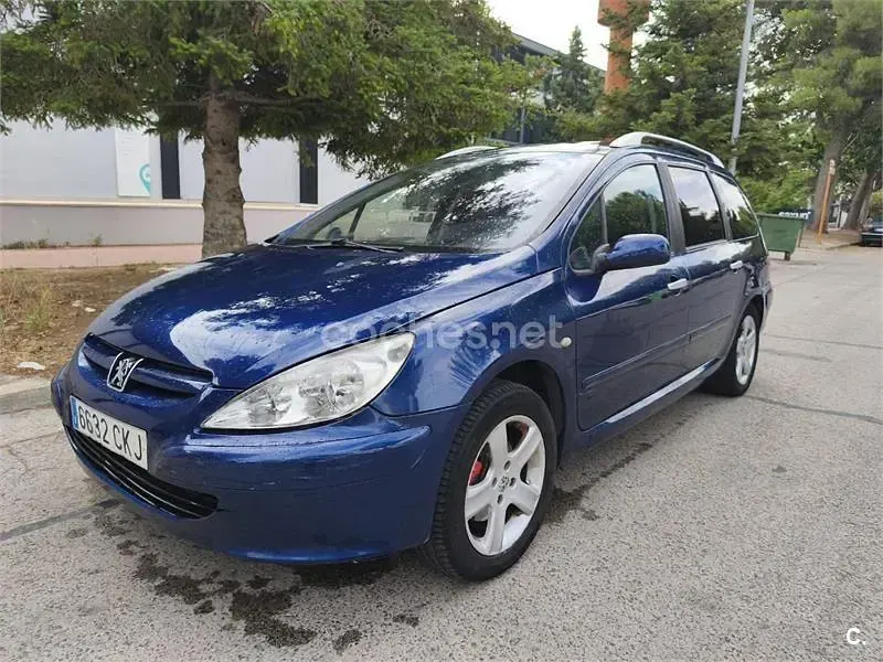 Usado Peugeot 307 110 CV (80 kW) 2004 Azul Familiar