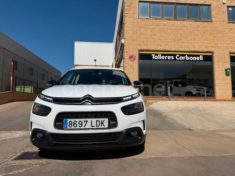 Brugt Citroën C4 Cactus Feel 102 HK (75 kW) 2019 Hvid Hatchback