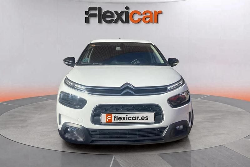 Usado Citroën C4 Cactus Feel 102 CV (75 kW) 2019 Blanco Utilitario