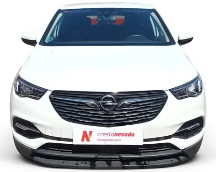 Usado Opel Grandland X Selective 131 CV (96 kW) 2018 Blanco SUV
