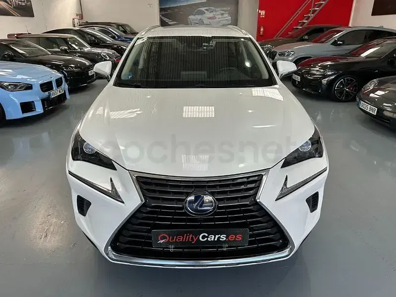 Usado Lexus NX300h Business Edition 197 CV (144 kW) 2020 Blanco SUV