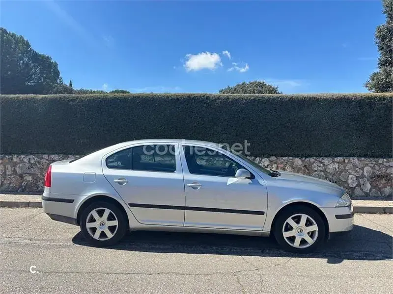 Usado Skoda Octavia Elegance 140 CV (102 kW) 2007 Gris / plata Berlina