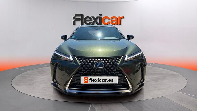 Usado Lexus UX Business Edition 184 CV (135 kW) 2023 Verde SUV