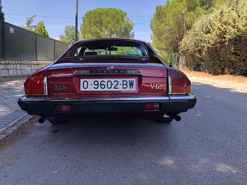 Usado Jaguar XJS 290 CV (213 kW) 1986 Burdeos Coupe