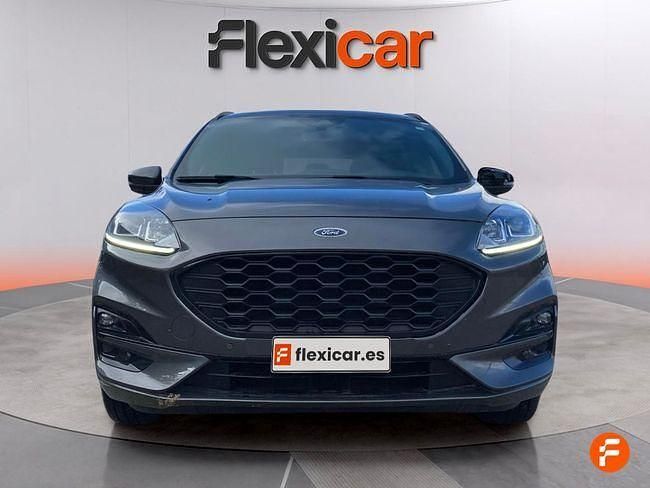 Usado Ford Kuga ST-Line 120 CV (88 kW) 2024 Gris SUV