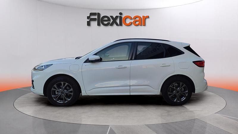 Usado Ford Kuga ST-Line 226 CV (166 kW) 2023 Blanco SUV