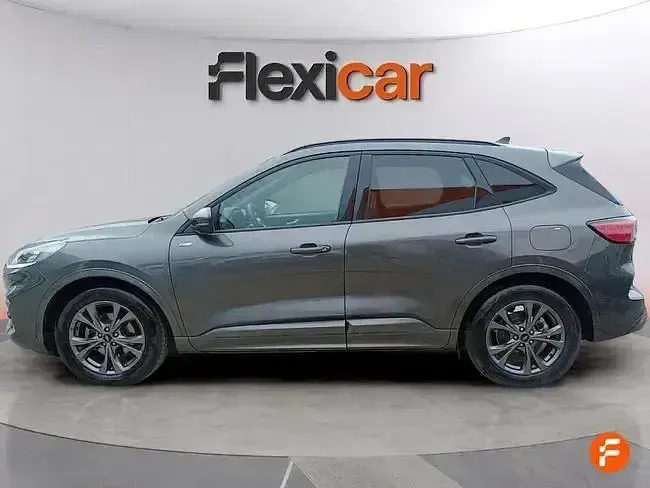 Usado Ford Kuga ST-Line 120 CV (88 kW) 2024 Gris SUV