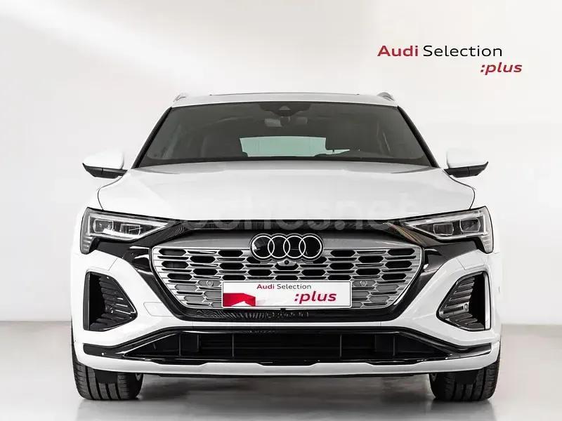 Usado Audi Q8 Sportback e-tron S-Line 300 kW (408 CV) 2024 Eléctrico SUV