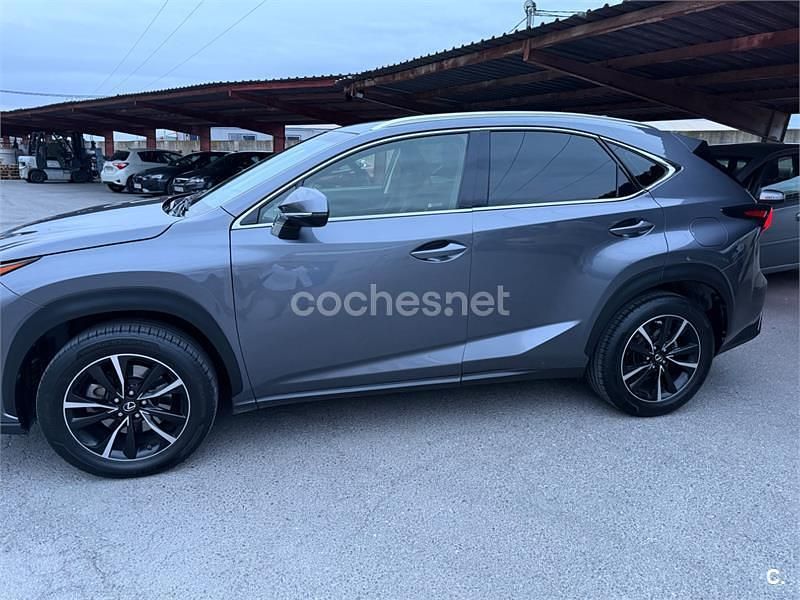 Usado Lexus NX300h Business Edition 197 CV (144 kW) 2018 Gris / plata SUV
