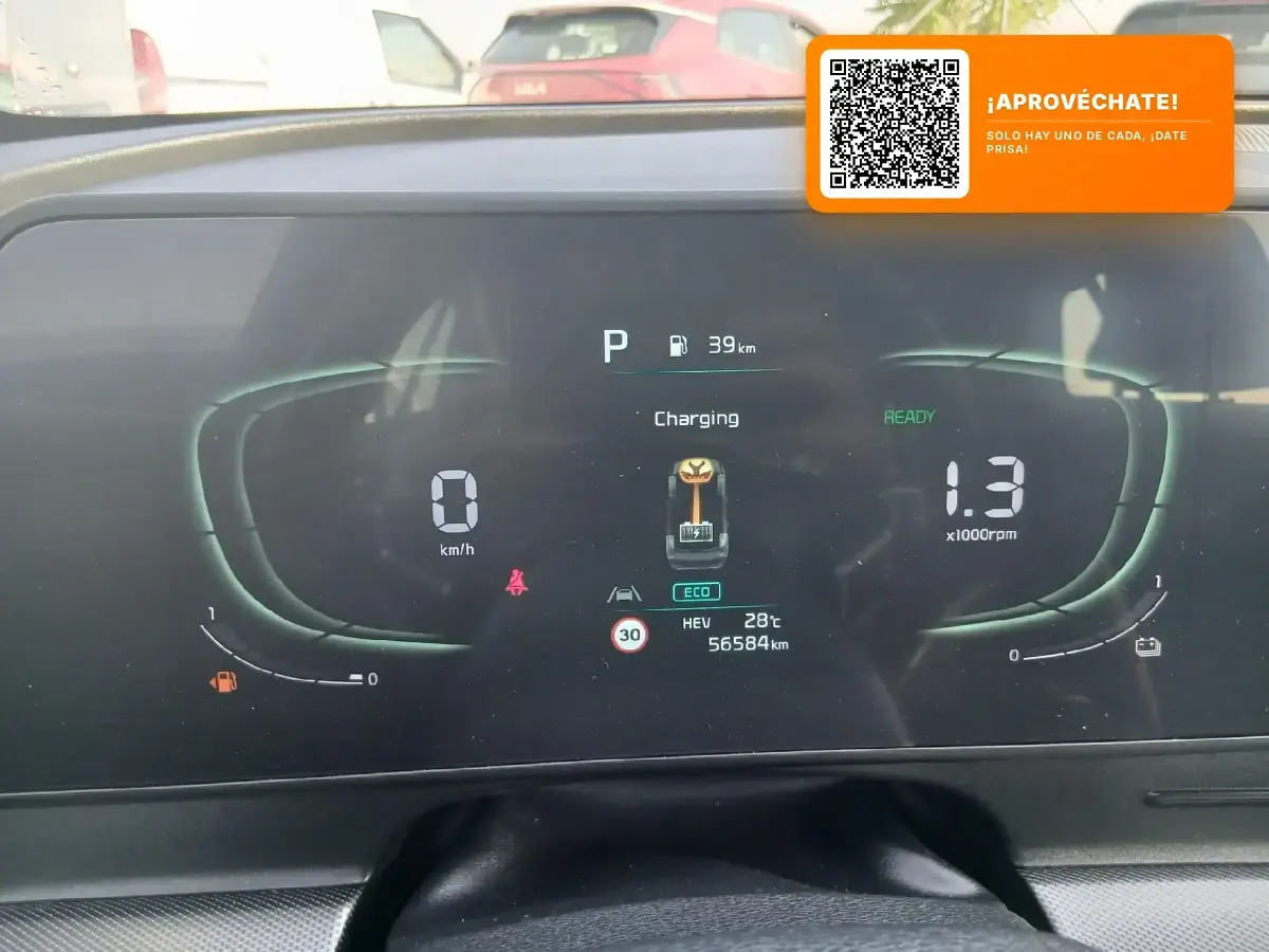 Usado Kia Sportage 265 CV (194 kW) 2022 Verde SUV