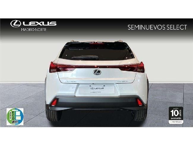 Usado Lexus UX 2024 SUV