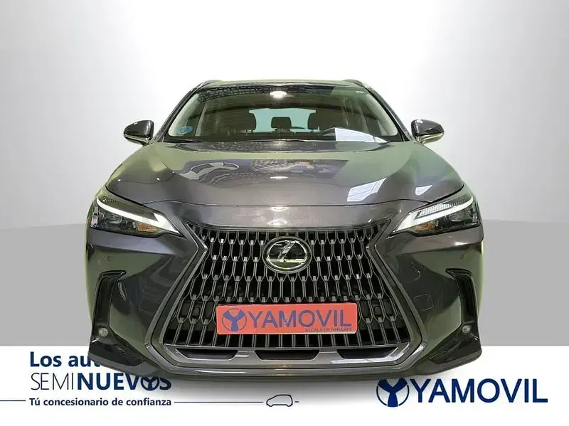 Usado Lexus NX350h Business Edition 242 CV (177 kW) 2022 Gris / plata SUV