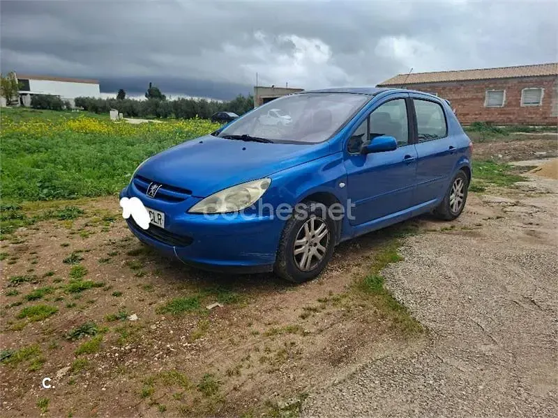 Usado Peugeot 307 110 CV (80 kW) 2003 Azul Berlina