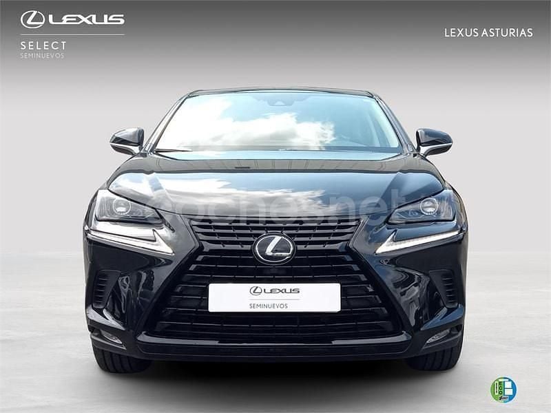 Usado Lexus NX300h Sport Line 197 CV (144 kW) 2019 Blanco SUV