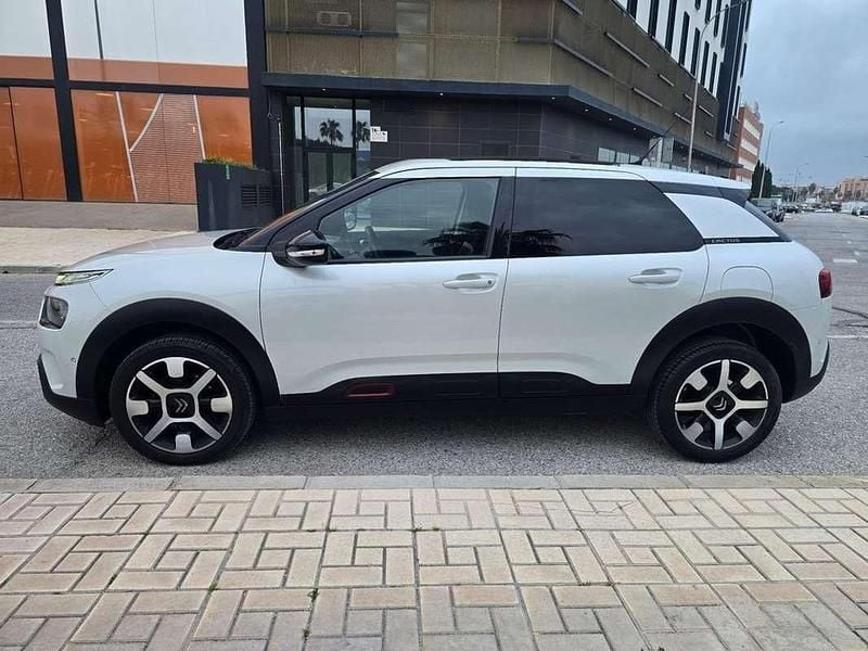 Usado Citroën C4 Cactus Shine 99 CV (72 kW) 2019 Blanco Utilitario
