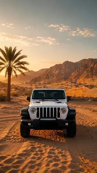 Usado Jeep Wrangler Rubicon 270 CV (198 kW) 2021 Blanco SUV